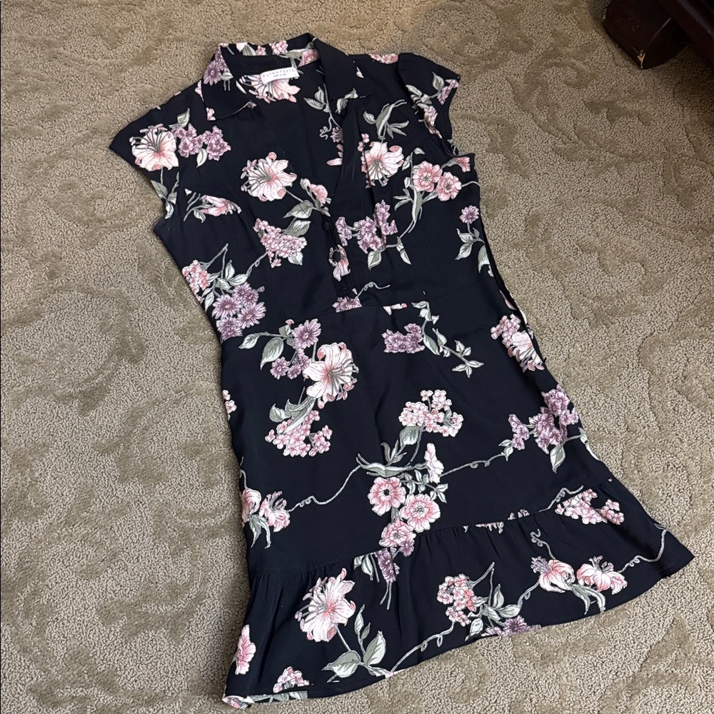 Flynn Skye Black and Pink Floral Mini Dress